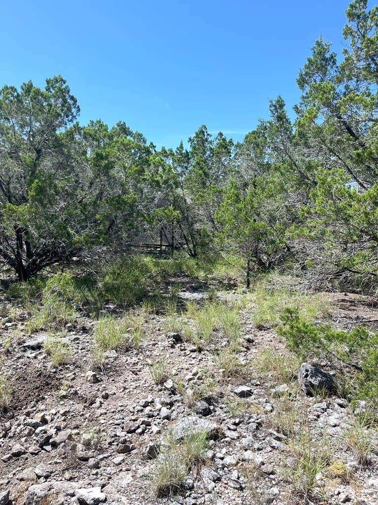20.14 acres in Real County gallery image 4