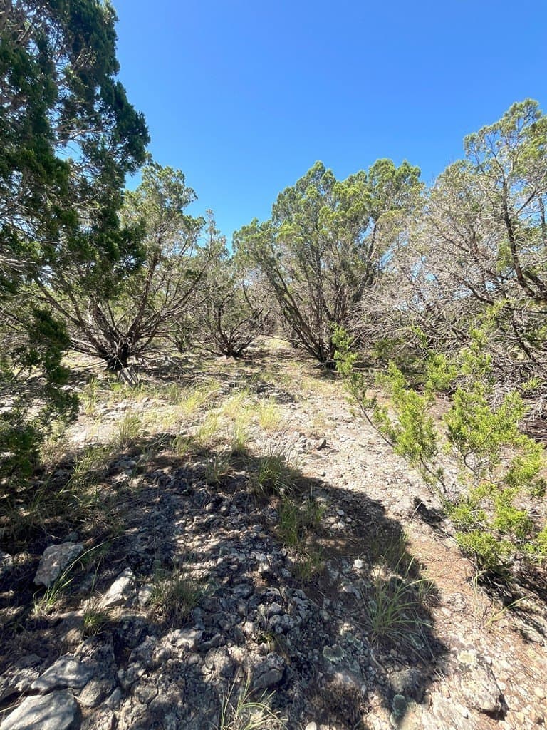 20.14 acres in Real County - photo 9