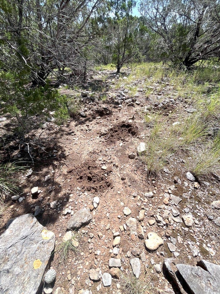 20.14 acres in Real County - photo 13