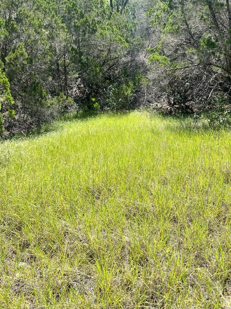 20.14 acres in Real County - photo 37