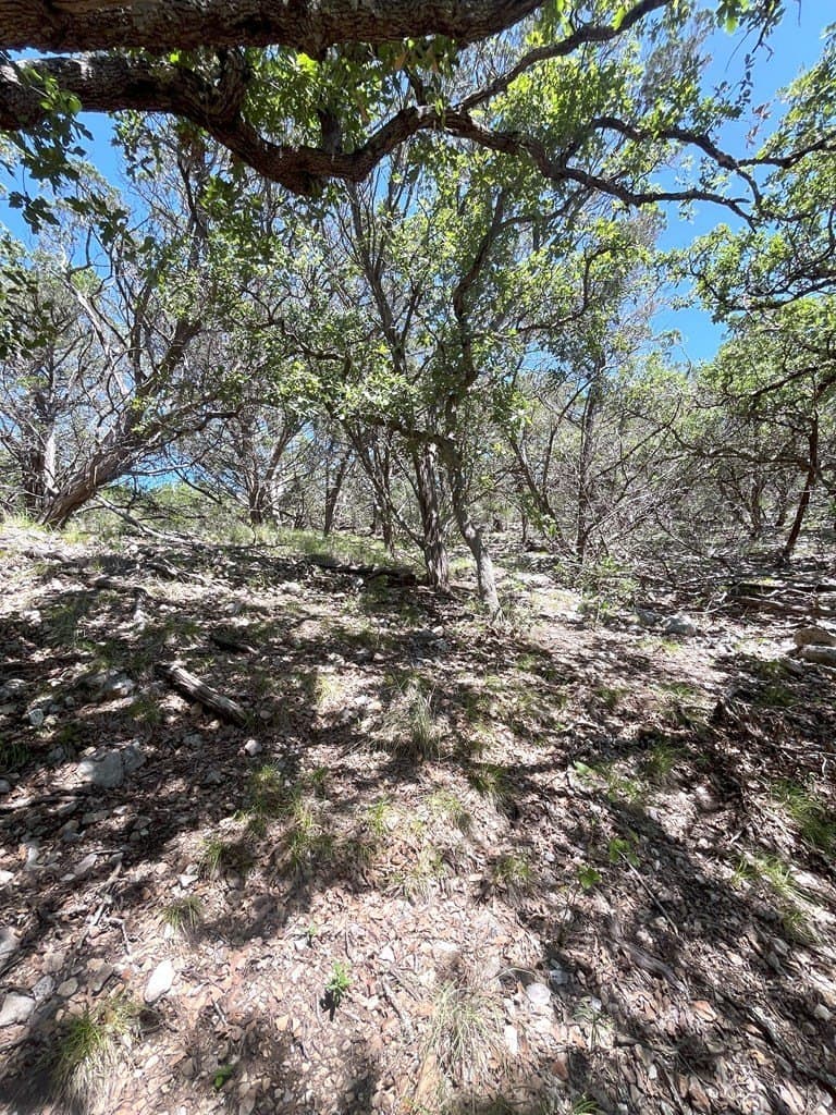 20.14 acres in Real County - photo 26