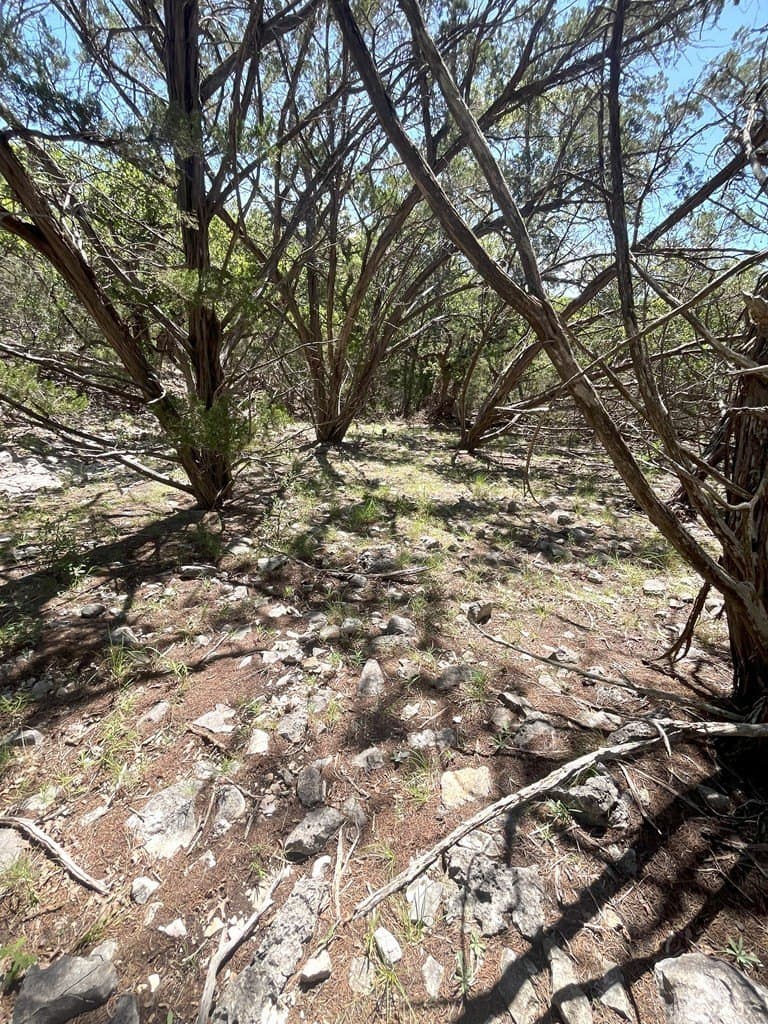 20.14 acres in Real County - photo 33
