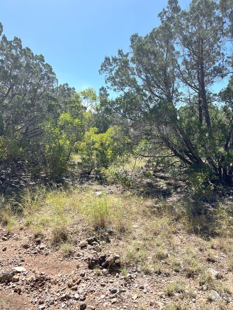20.14 acres in Real County featured view