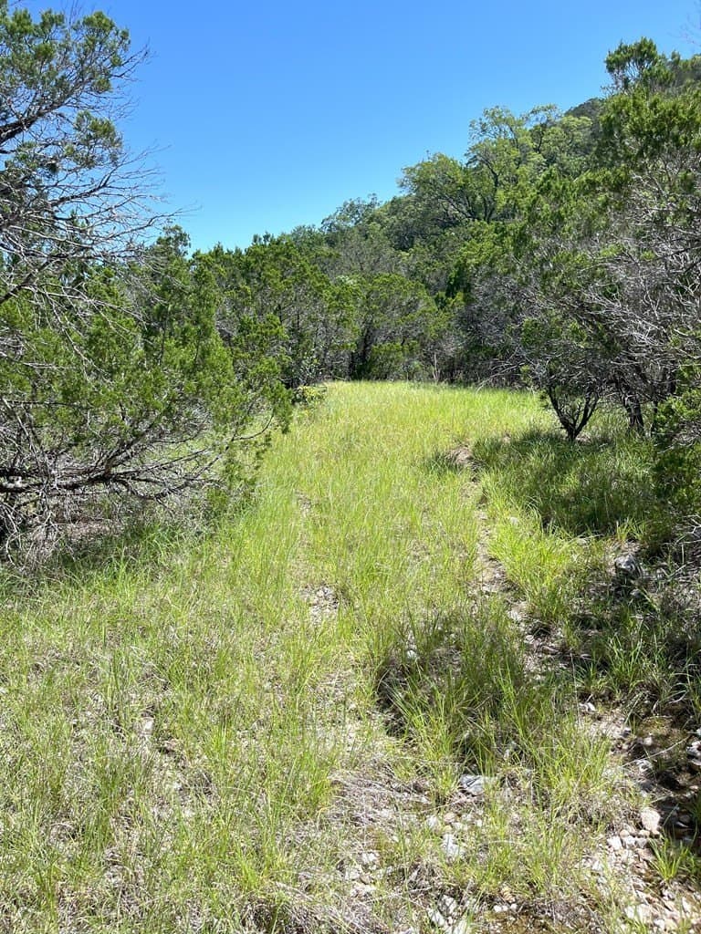 20.14 acres in Real County - photo 35