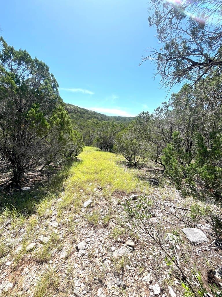 20.14 acres in Real County - photo 34
