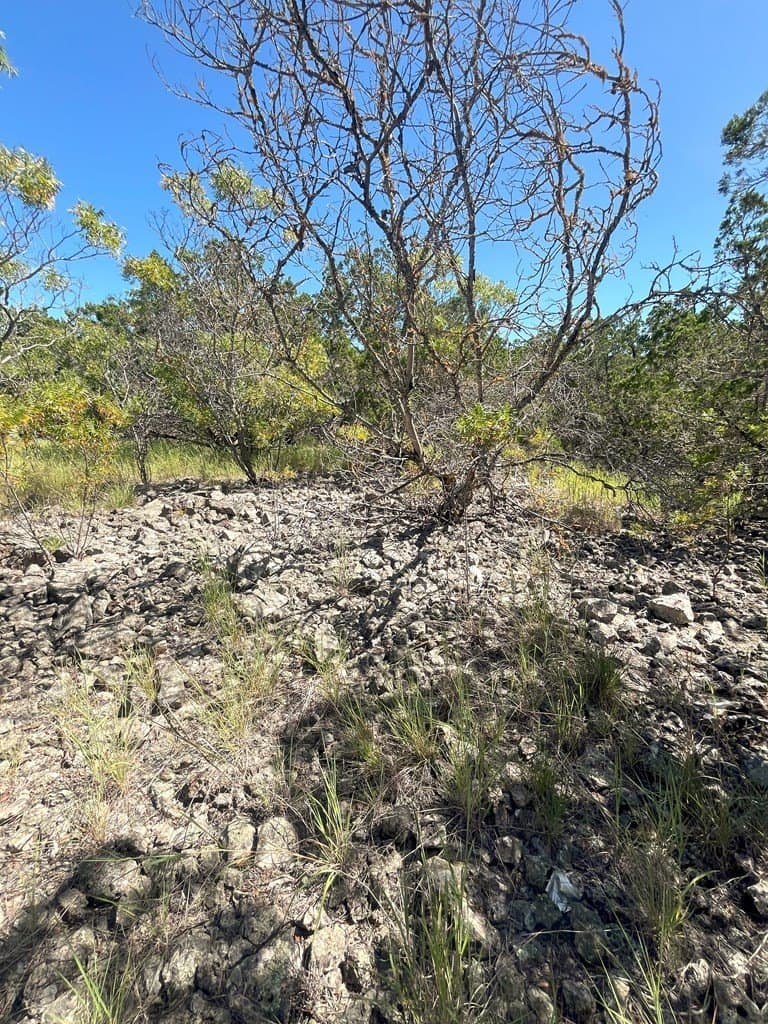 20.14 acres in Real County - photo 10