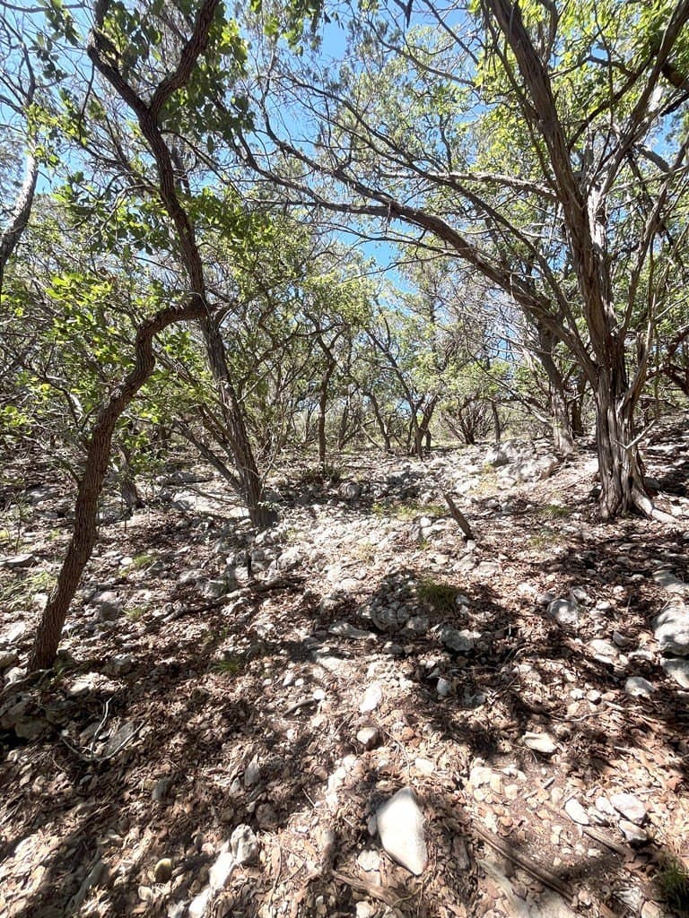 20.14 acres in Real County - photo 28