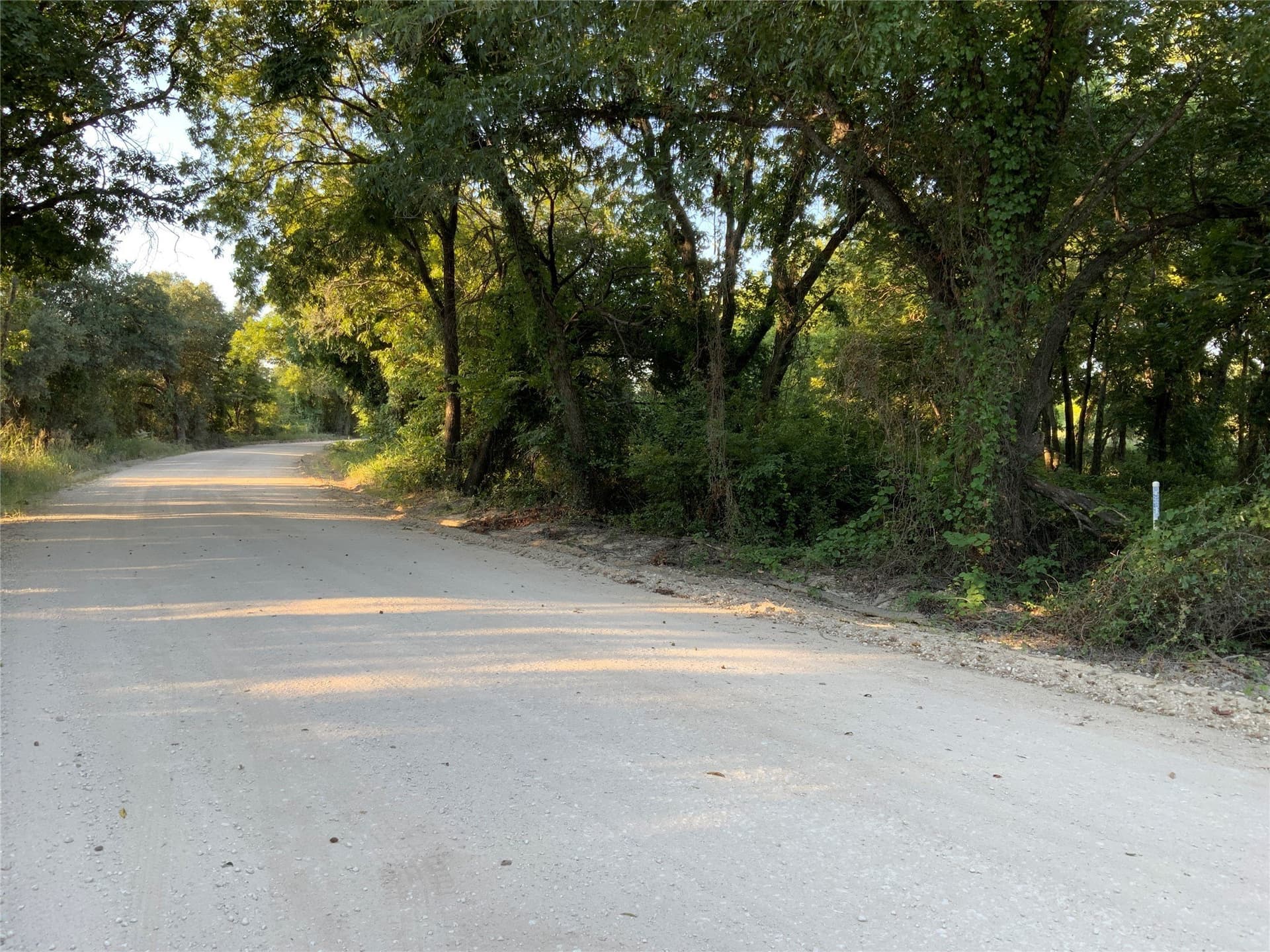 103.09 acres in Comanche County gallery image 3