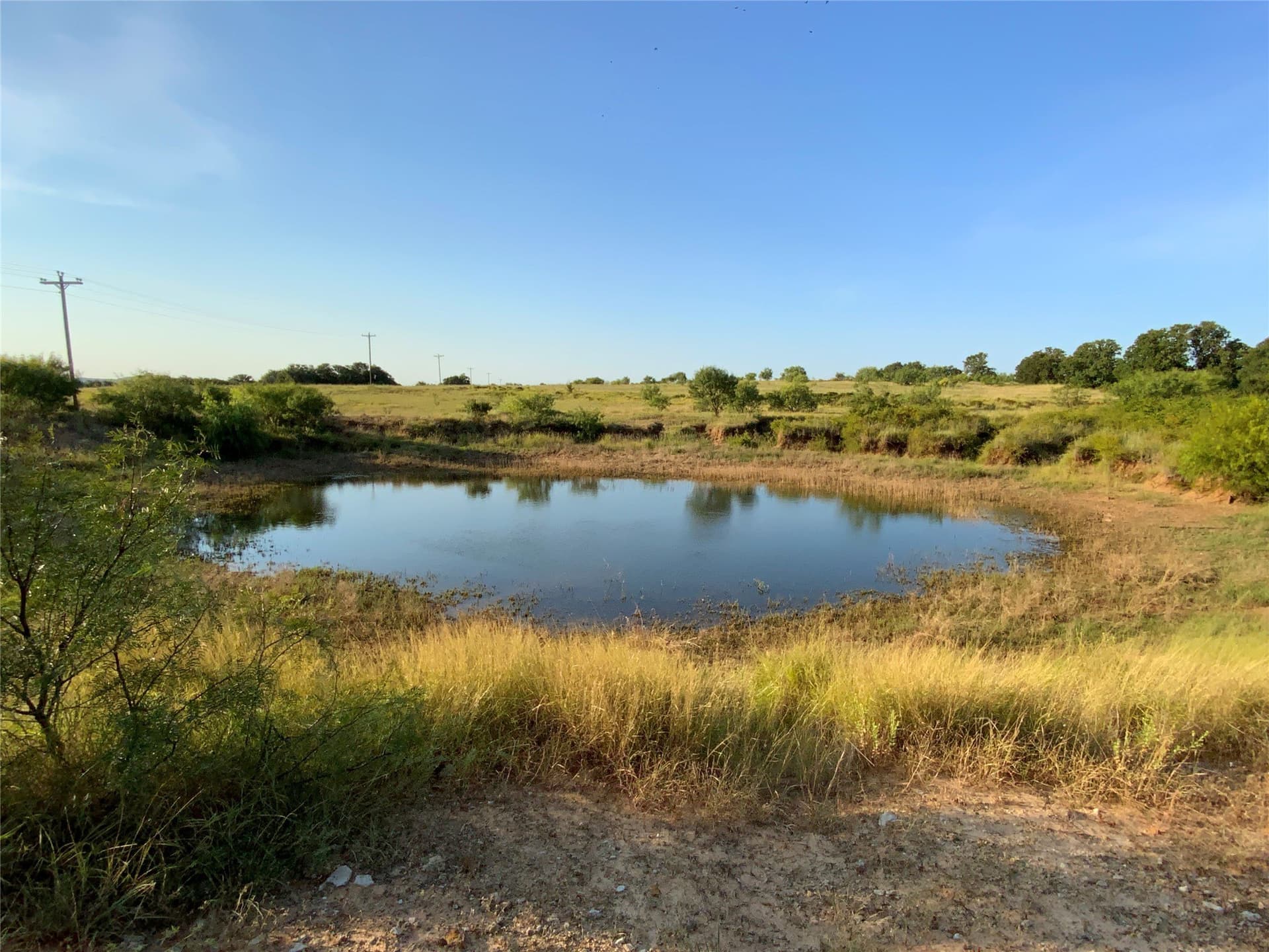 103.09 acres in Comanche County gallery image 4