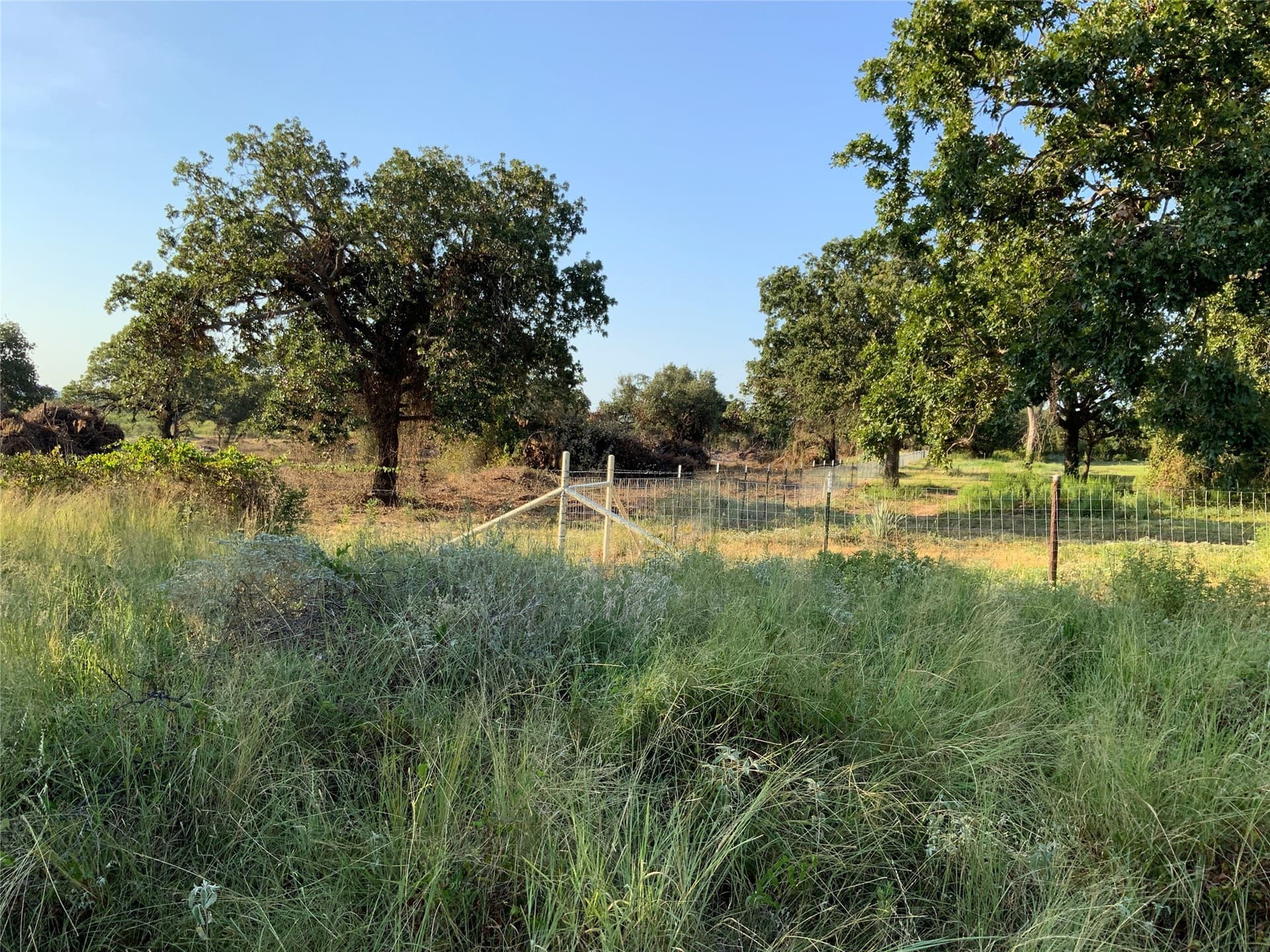 103.09 acres in Comanche County featured view