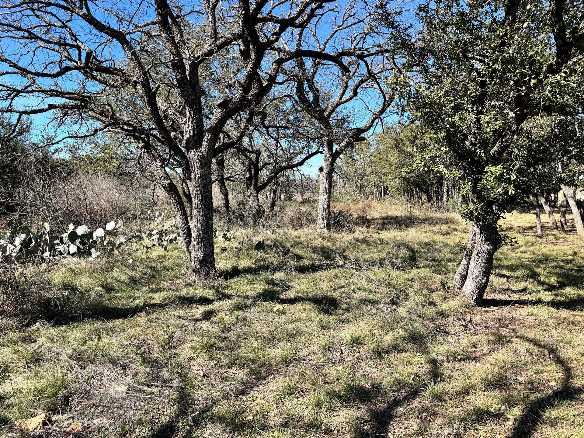 0.41 acres in Brown County - photo 24