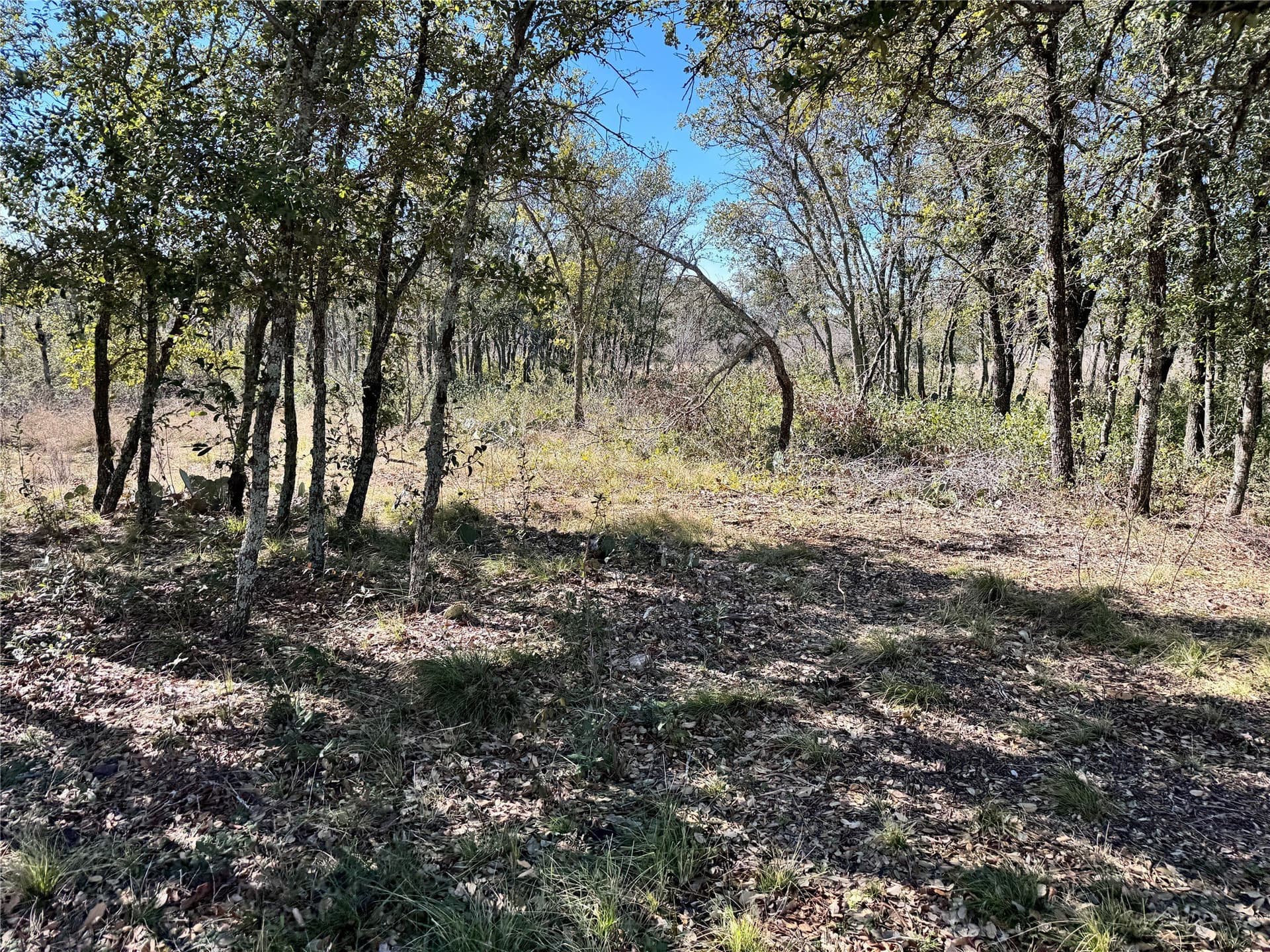 0.41 acres in Brown County - photo 28