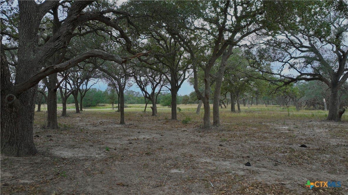 12.81 acres in Victoria County - photo 11