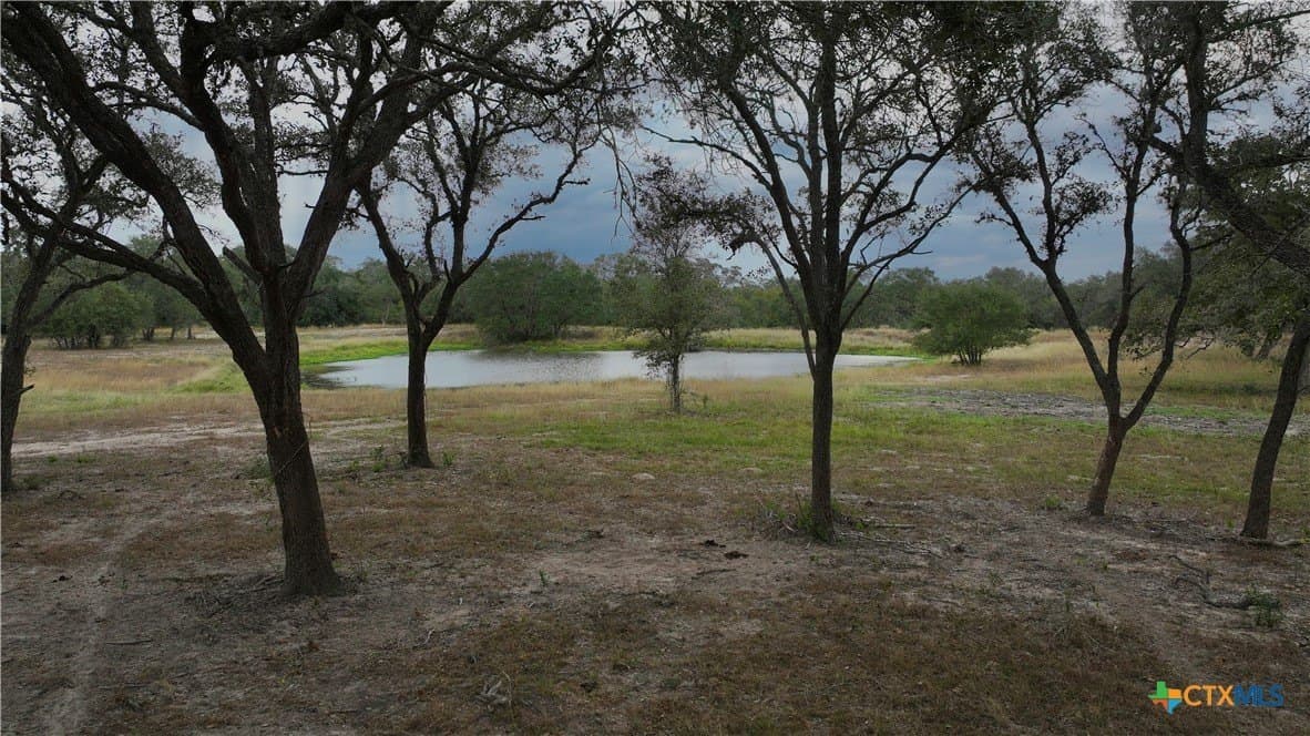 12.81 acres in Victoria County - photo 9