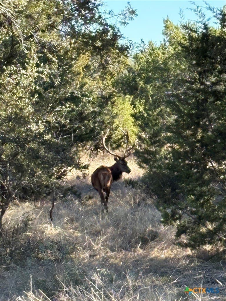 5.3 acres in Burnet County - photo 7