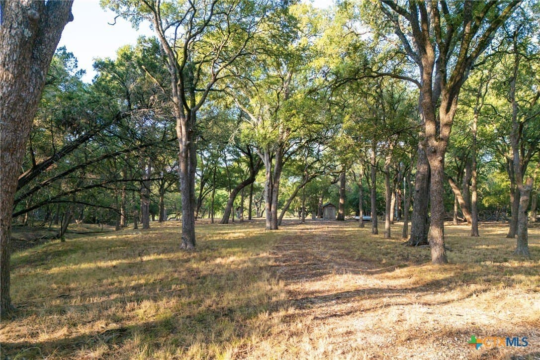 4.18 acres in Hays County gallery image 3