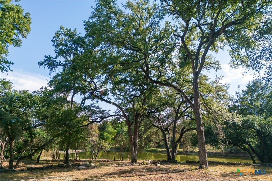 4.18 acres in Hays County gallery image 4