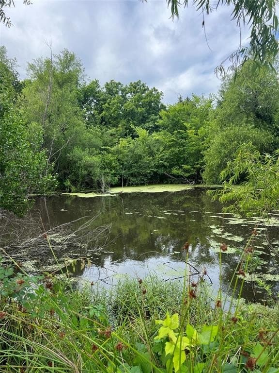 11.96 acres in Hopkins County gallery image 3