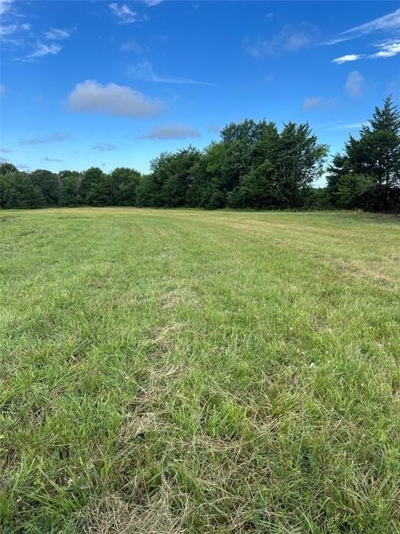 11.96 acres in Hopkins County gallery image 2