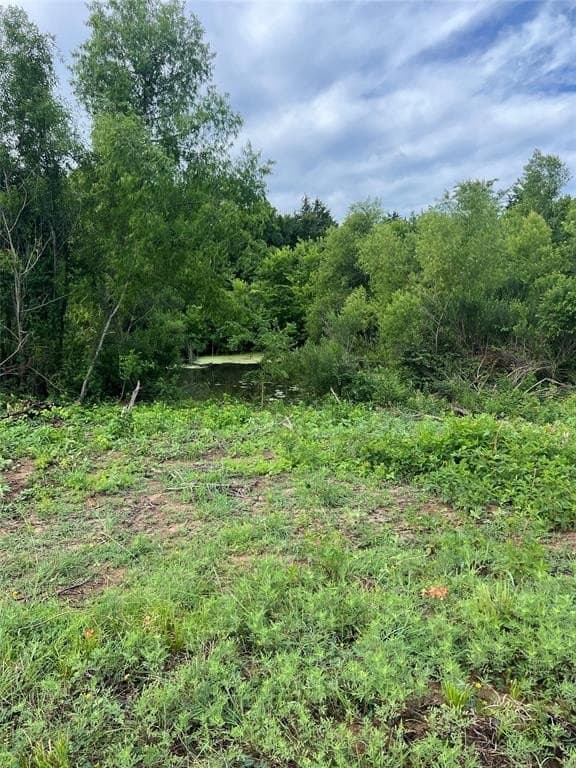 11.96 acres in Hopkins County featured view