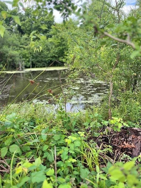 11.96 acres in Hopkins County gallery image 4