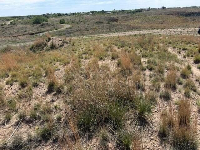 0 acres in Texas County gallery image 3