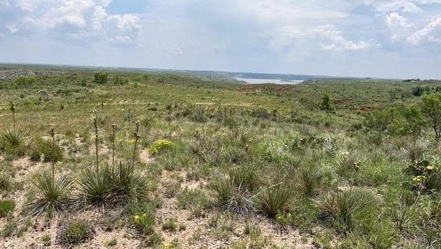 0 acres in Texas County