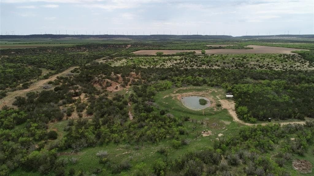 161.93 acres in Taylor County gallery image 4
