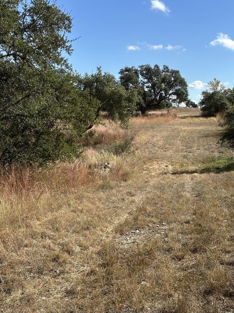 29.44 acres in Texas County - photo 5