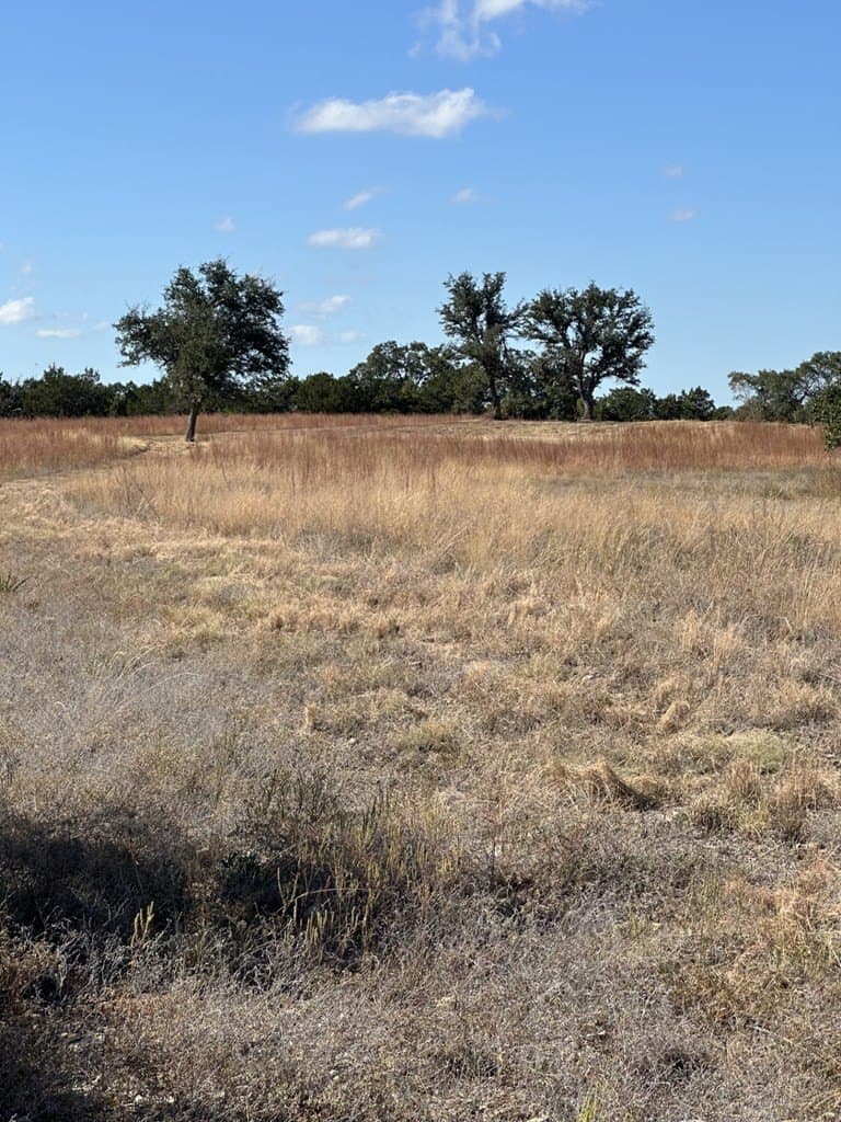 29.44 acres in Texas County - photo 8