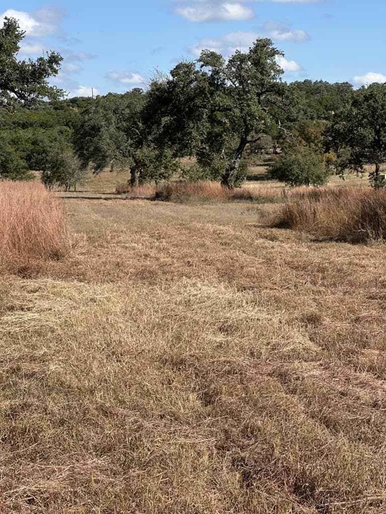 29.44 acres in Texas County - photo 2