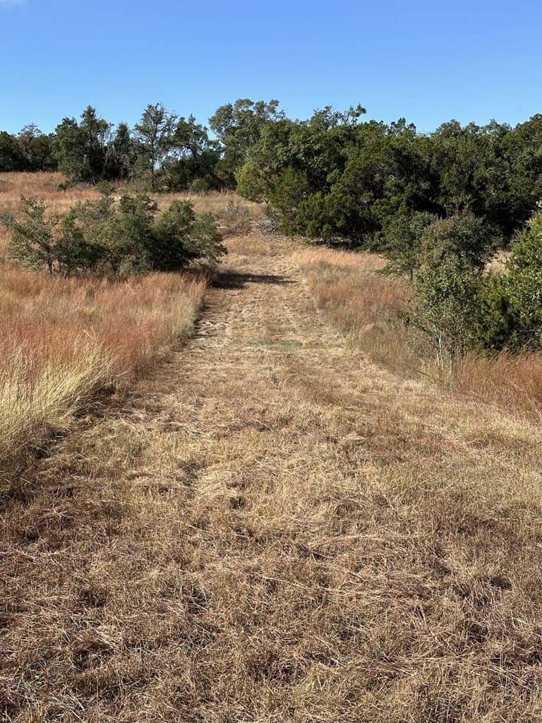 29.44 acres in Texas County - photo 4