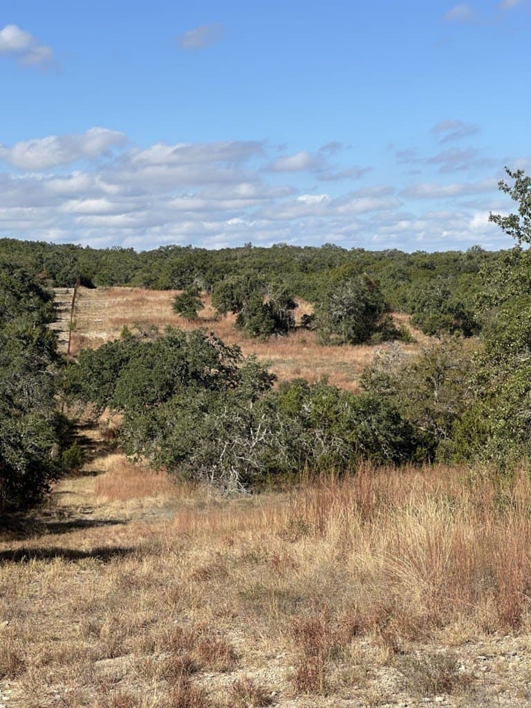 29.44 acres in Texas County - photo 3