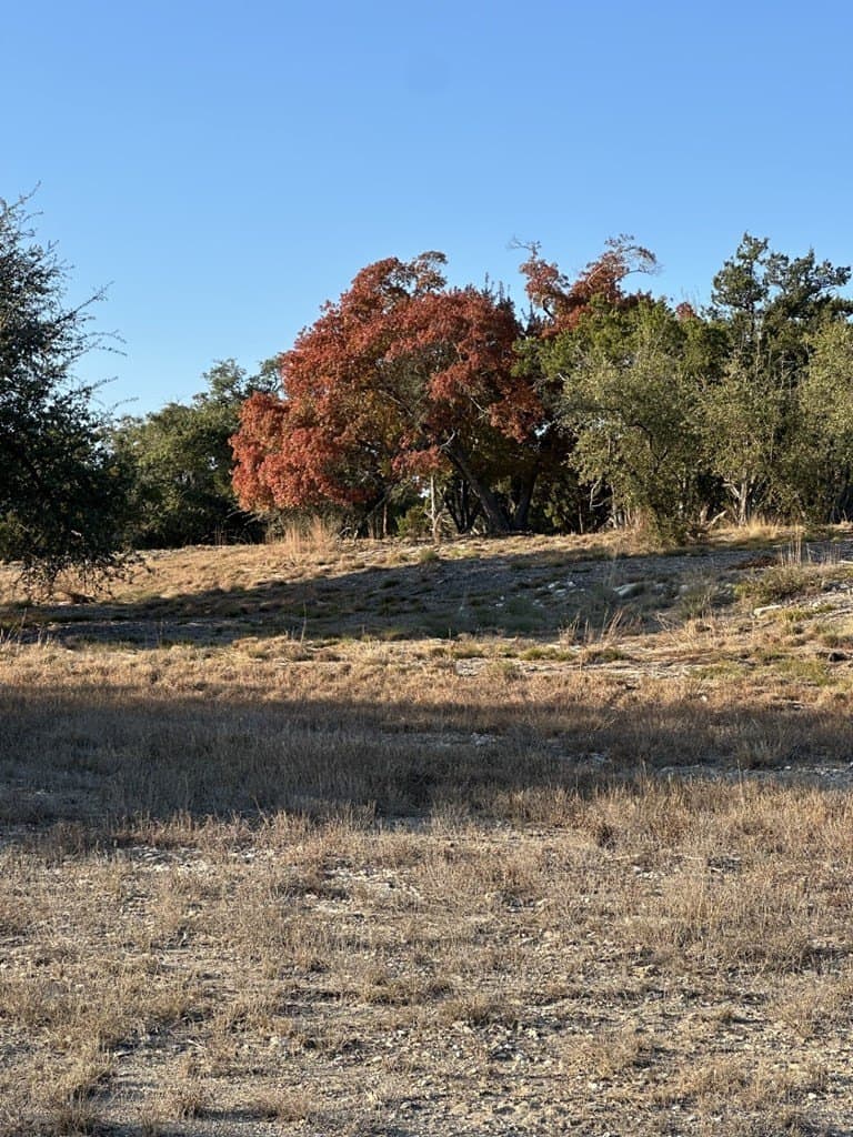 29.44 acres in Texas County - photo 10