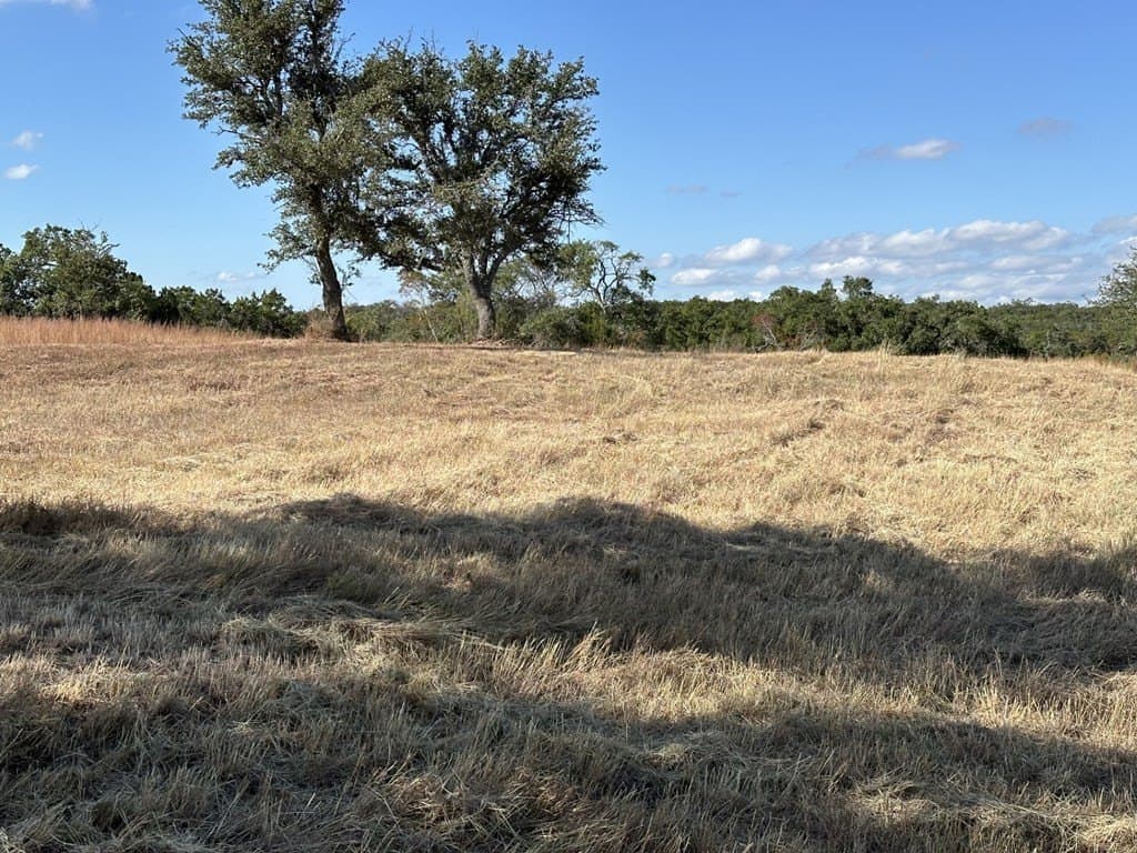 29.44 acres in Texas County - photo 7
