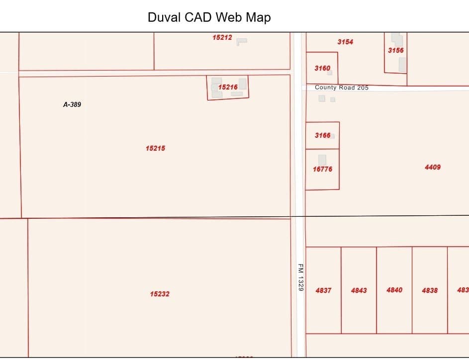 22.22 acres in Duval County gallery image 2