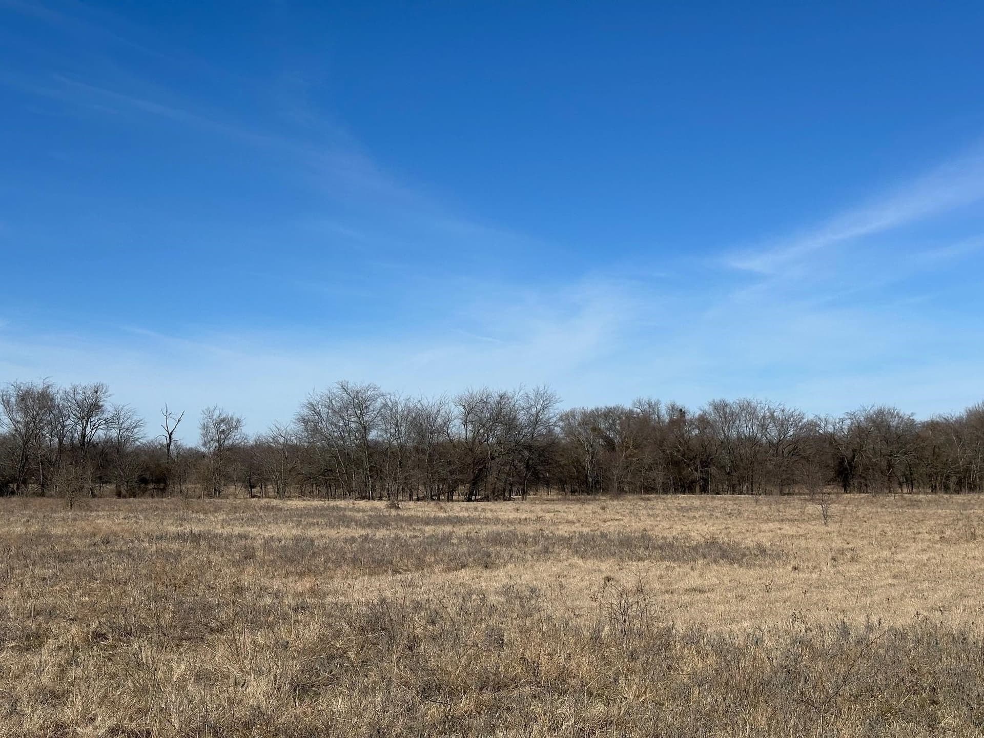 11.66 acres in Hopkins County - photo 7