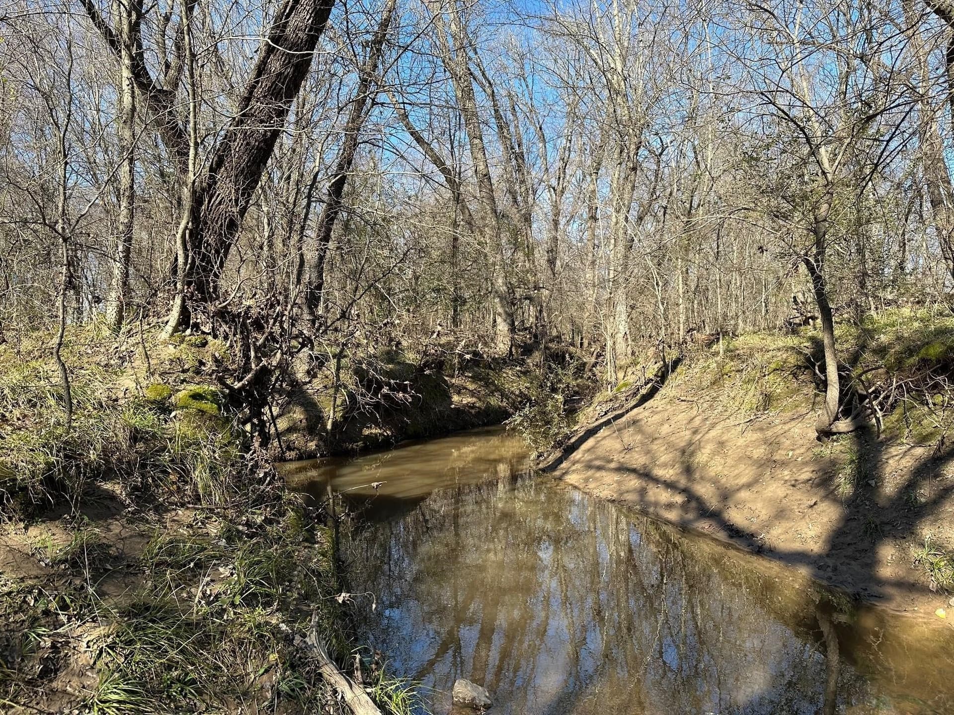 11.66 acres in Hopkins County - photo 5