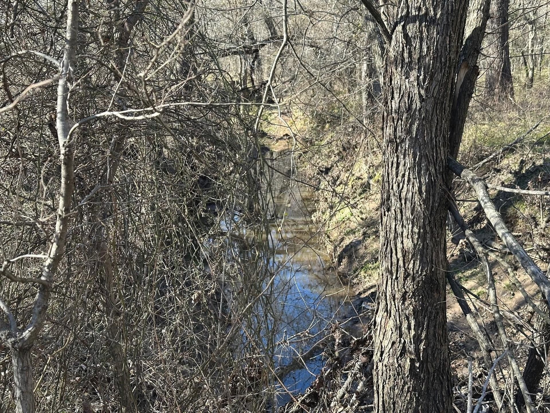 11.66 acres in Hopkins County - photo 8