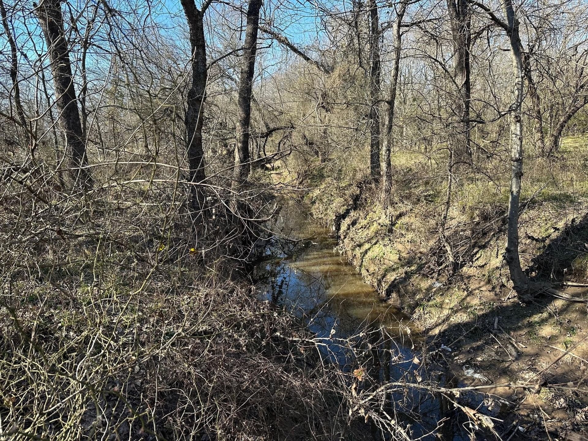 11.66 acres in Hopkins County - photo 9