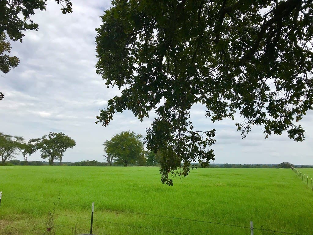 11.57 acres in Henderson County gallery image 3