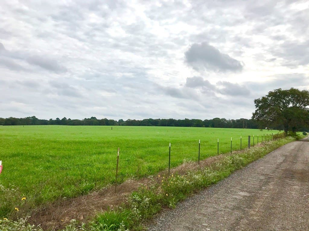 11.57 acres in Henderson County gallery image 2