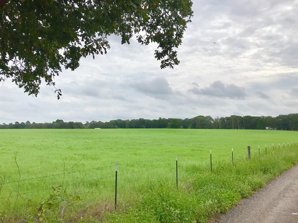 11.57 acres in Henderson County gallery image 4