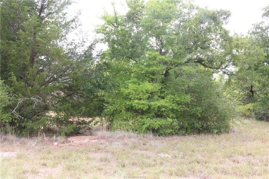 0.2 acres in Brazos County featured view