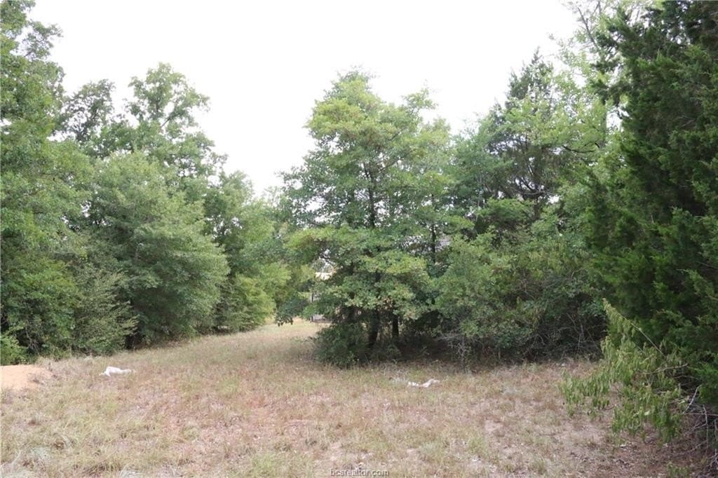 0.2 acres in Brazos County - photo 7