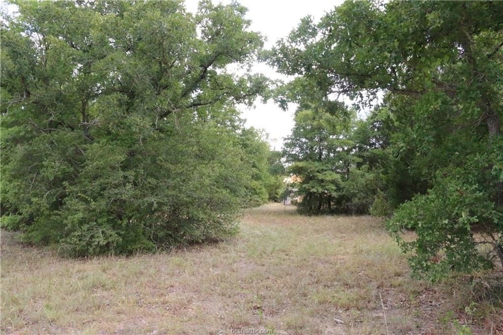 0.2 acres in Brazos County gallery image 2