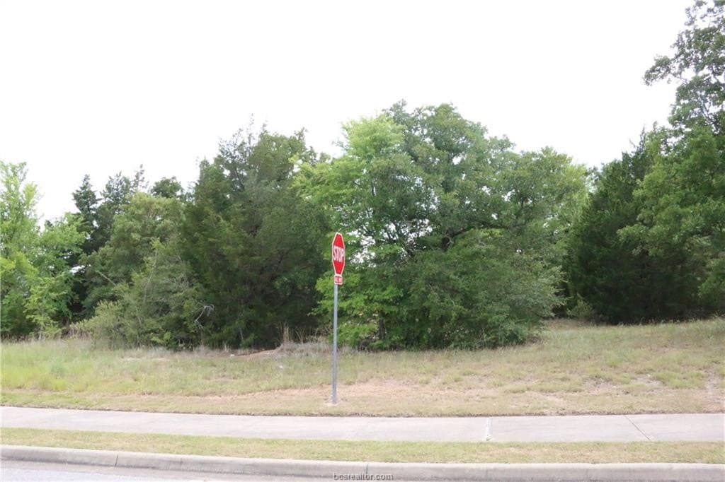0.2 acres in Brazos County - photo 6