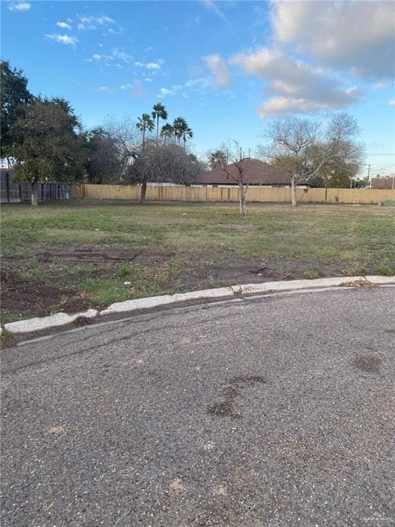 0.28 acres in Hidalgo County gallery image 2