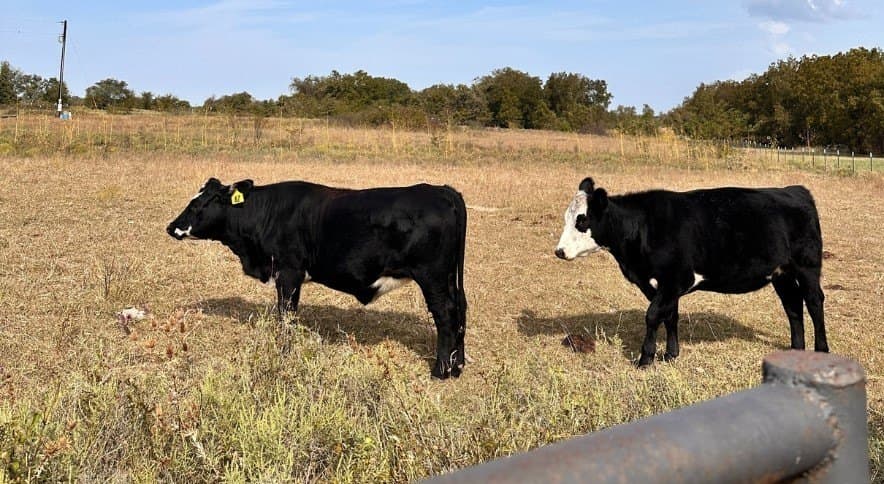 32.8 acres in Wise County featured view