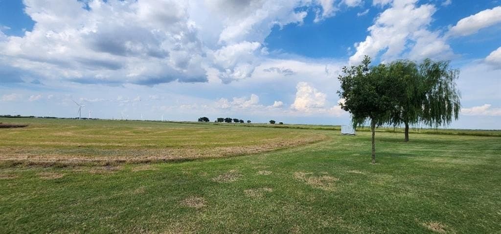 24 acres in Cooke County gallery image 3